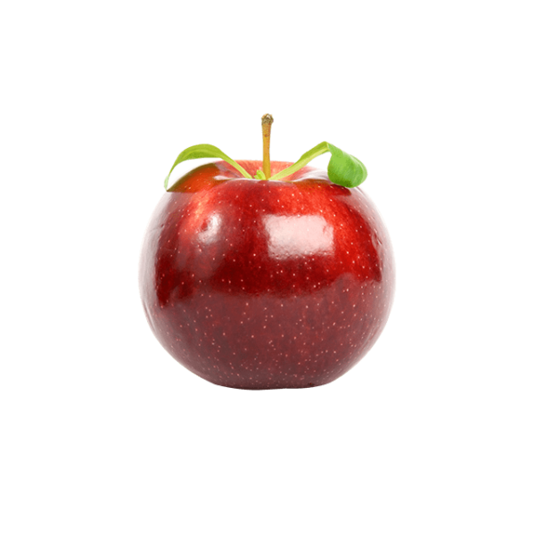 Branch Apple – Image 2