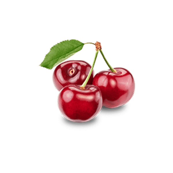 Branch Apple – Image 3